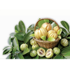 Garcinia Cambogia Extract 75% HCA Weight Loss Diet Pills